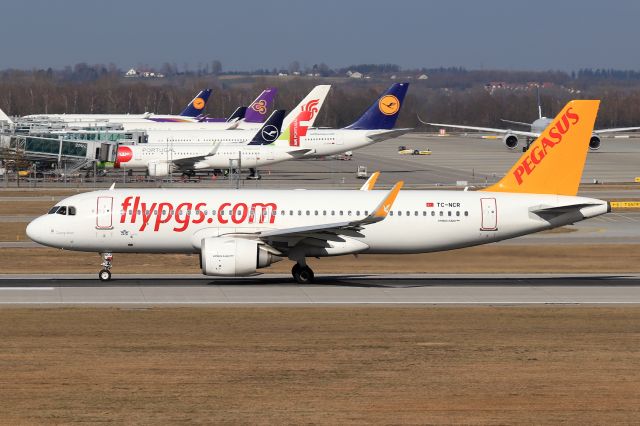 Airbus A320 (TC-NCR)
