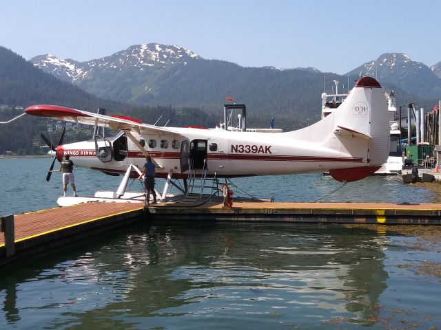 De Havilland Canada DHC-3 Otter (N339AK) - I flew in this plane over the Juneau Glacier Field.