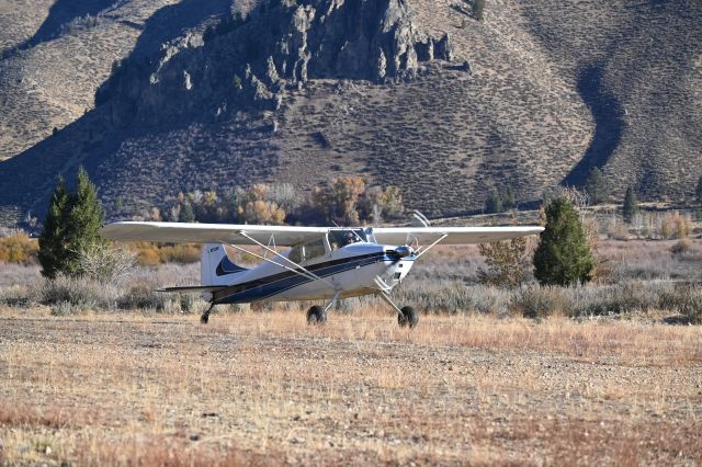 Cessna 170 (N2524V) - Taxiing at Pine.