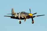 MUSTANG thumbnail