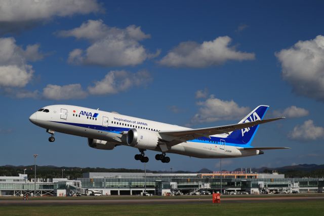 Boeing 787-8 (JA819A) - October 17th 2020:HKD-HND.