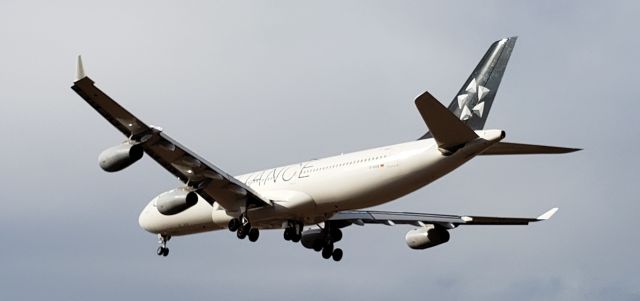 Airbus A340-600 (D-AIGN)