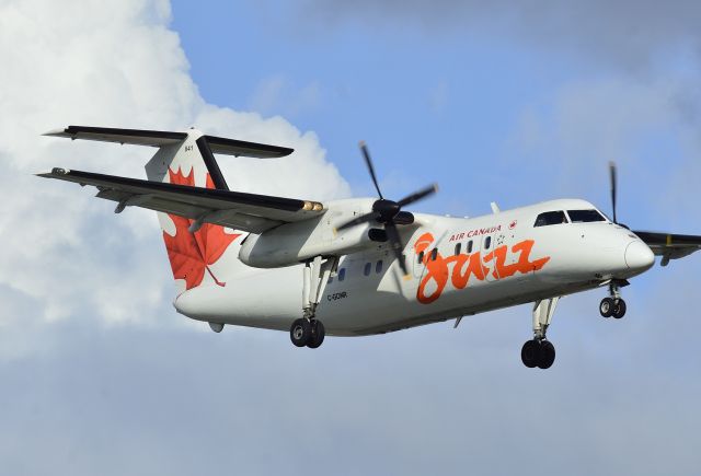 de Havilland Dash 8-100 (C-GONR)