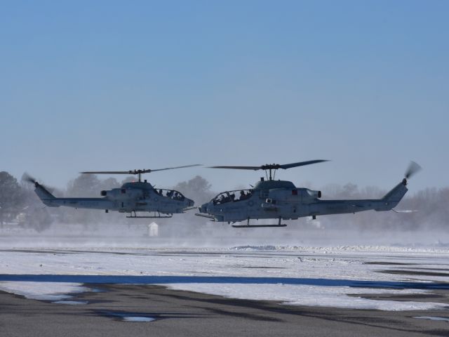 DEBORDE-ROLLAND Cobra — - A Pair of Cobras kicking up some snow