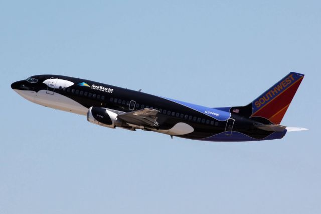 BOEING 737-300 (N334SW) - "Shamu" * Photo Taken September 5th, 2011