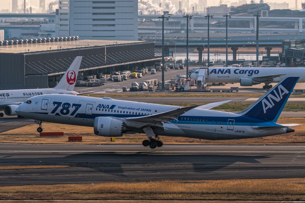 Boeing 787-8 (JA817A)