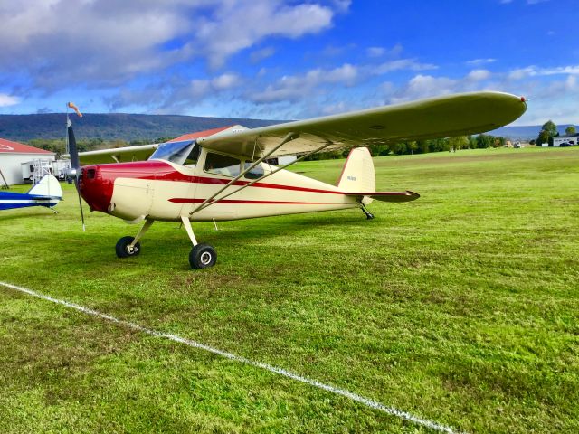 Cessna 140 (N4265V)