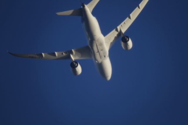 Boeing 787-8 (XA-AMX) - FROM MMTJ TO MMMX