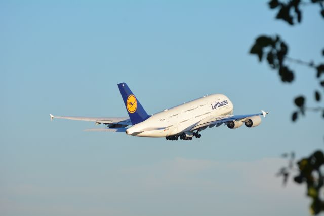 — — - Frankfurt bound,,30 Oct 2016 at IAH