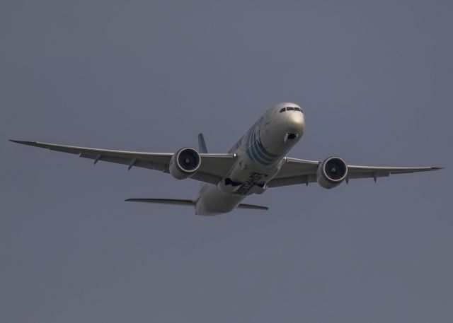 Boeing 787-9 Dreamliner (SU-GER)