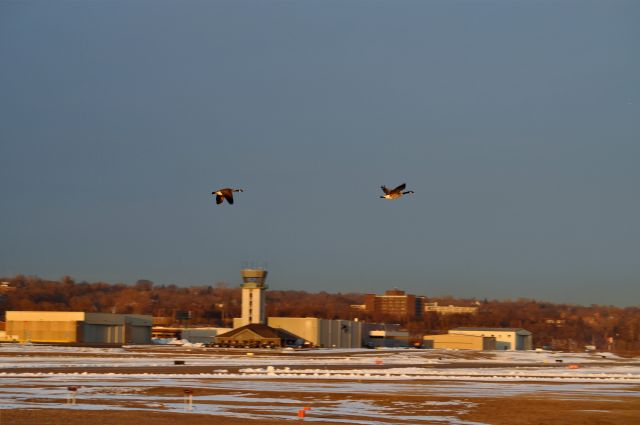 NGEESE — - Cleared For Takeoff!