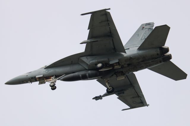 McDonnell Douglas FA-18 Hornet —