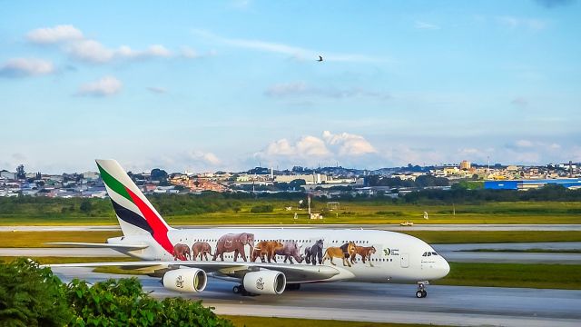 Airbus A380-800 (A6-EOM)