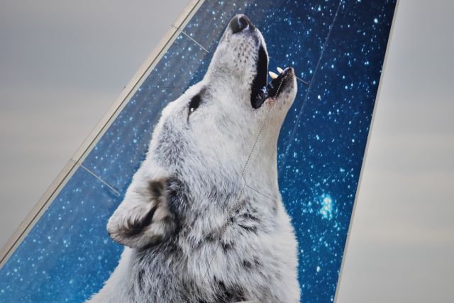 N369FR — - Close up of the tail showing Chinook the Gray Wolf.