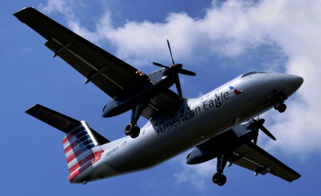 de Havilland Dash 8-100 (N810EX) - An American Eagle Dash-8 Q100 just before landing on runway 35 at Philadelphia International Airport on July 23rd, 2016. Photo taken from the threshold of runway 35.