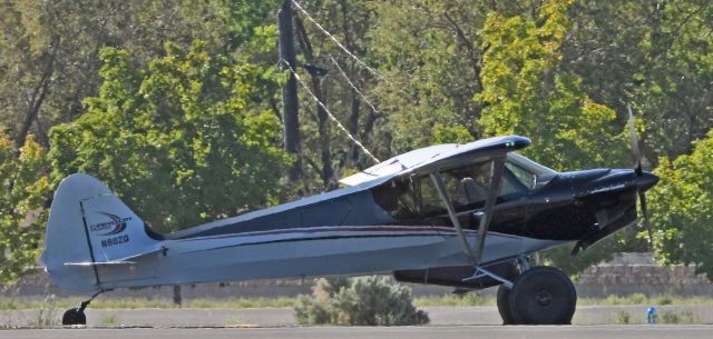 Piper L-18B Cub Special (N88ZQ) - Taxiing on alpha