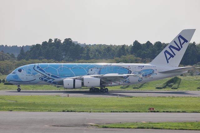 Airbus A380-800 (JA381A)