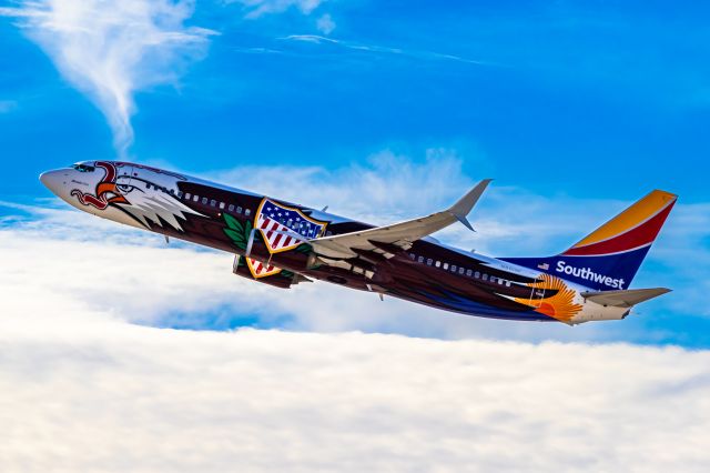 Boeing 737-800 (N8619F) - Southwest Airlines 737-800 in Illinois One special livery taking off from PHX on 11/28/22. Taken with a Canon 850D and Tamron 70-200 G2 lens.