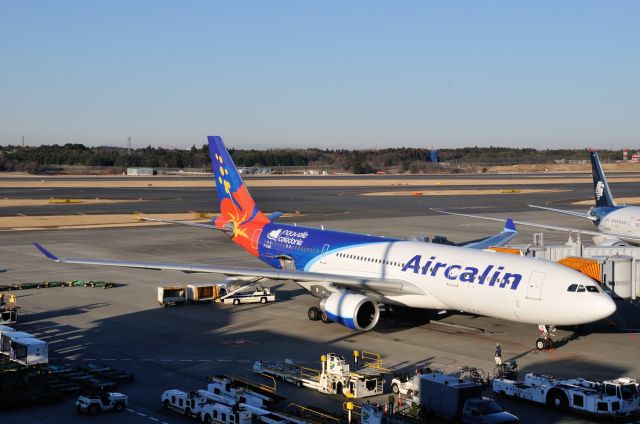 Airbus A330-200 (F-OJSE) - 2015/1/11