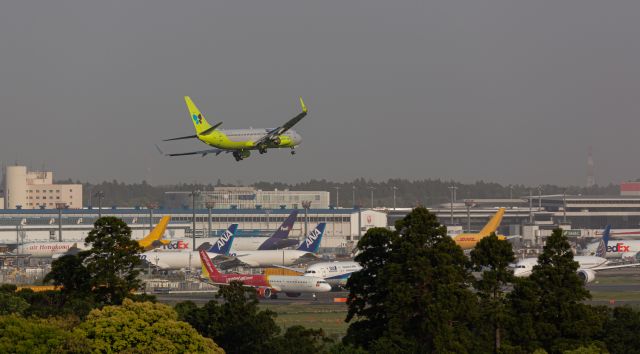 Boeing 737-800 (HL8245)