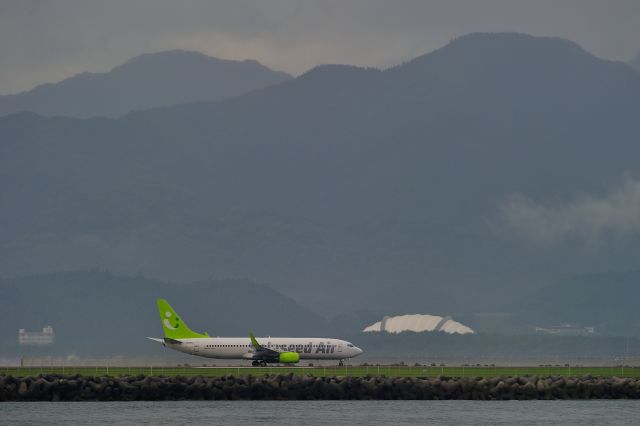 Boeing 737-800 (JA801X)