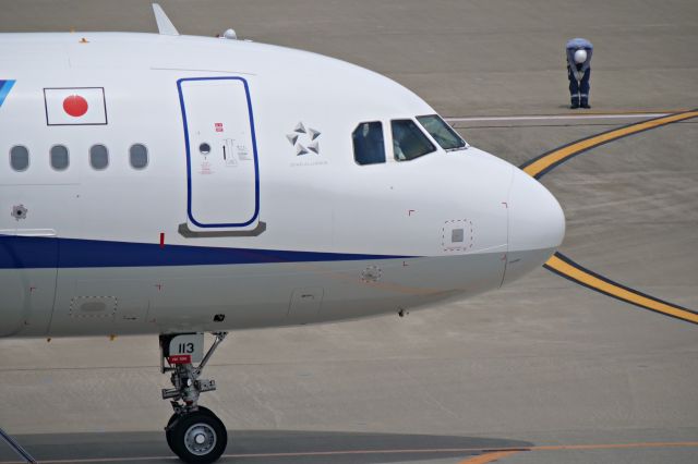 Airbus A321 (JA113A) - A Japanese style farewell by ground staffs