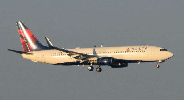 Boeing 737-800 (N3773D)