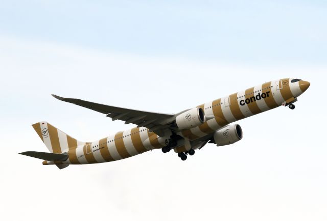 Airbus A330-900 (D-ANRO)
