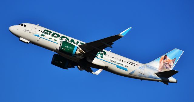 Airbus A320neo (N330FR) - Out of all the Frontier critters, this lil' fella is my favorite.  I'm an old cat lady, and always a sucker for a kitten.  Junior the Lynx blasting off of 23R to TTN from RDU on the bright (but freezing!) morning of 1/6/20.