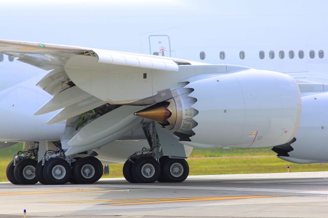 HZ-HMS1 — - L/N 1446 C/N 40065 B747-8JA BBJ N458BJ (HZ-HMS1)br /PRINCE SULTAN BIN ABDULAZIZ