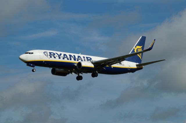 Boeing 737-800 (EI-EKD)