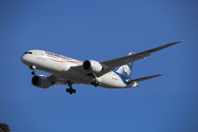 Boeing 787-8 (XA-AMR)