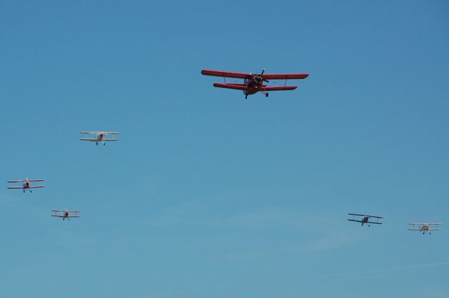 Antonov An-2 (D-FONE)