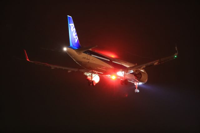 Airbus A321 (JA113A) - September 27th 2018:HND-HKD.