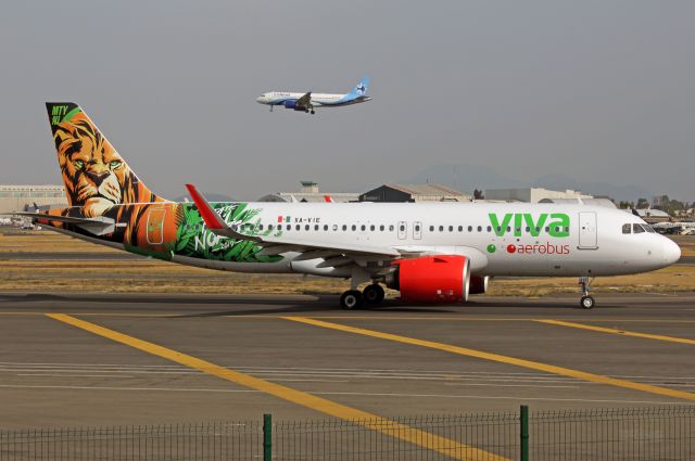 Airbus A320neo (XA-VIE) - Viva Aerobus / Airbus A320-271N - MSN 8175 / XA-VIE "Tecate Pa'l Norte 2019" / MMMX 05/2019