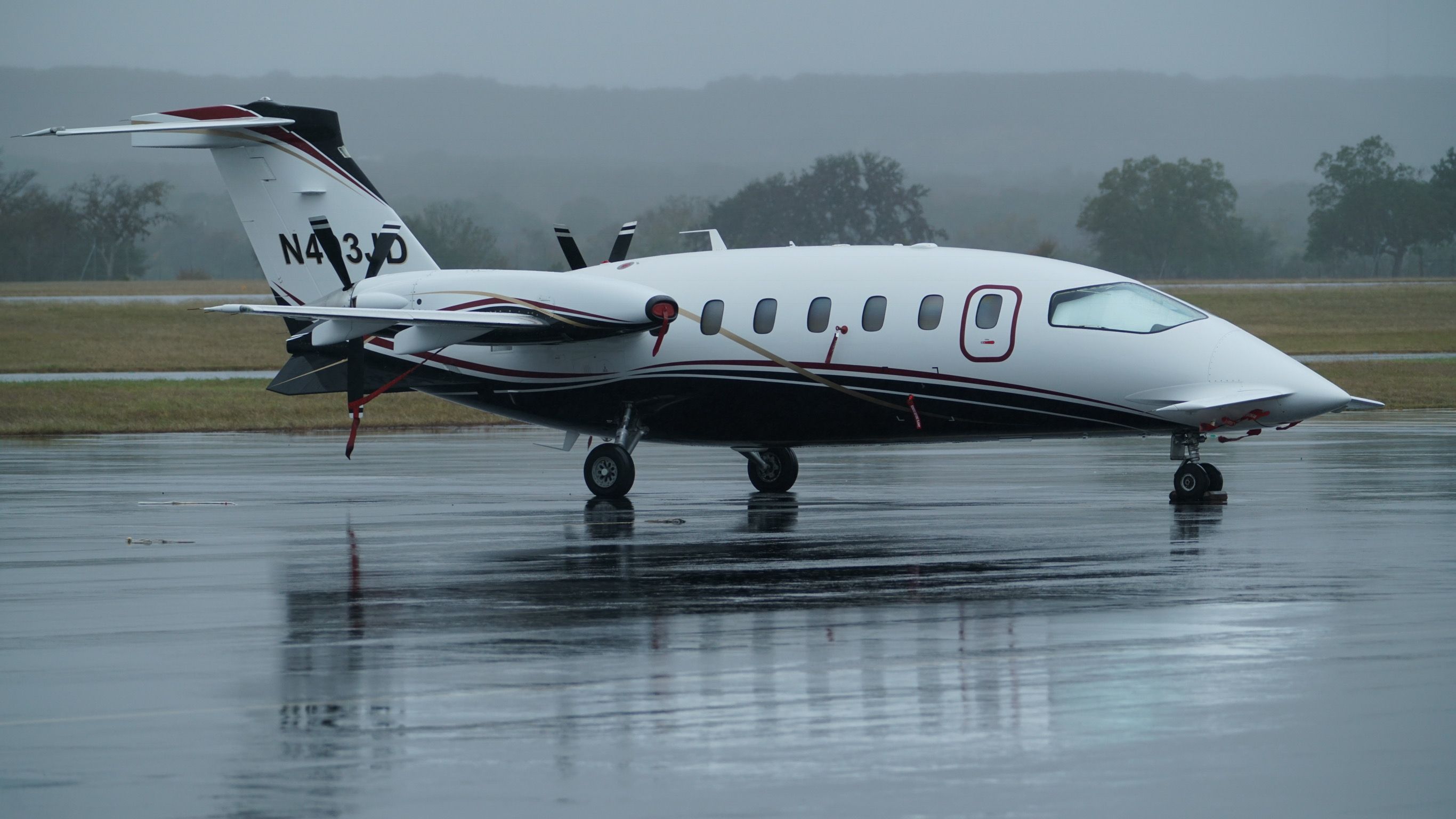 Piaggio P.180 Avanti (N493JD)