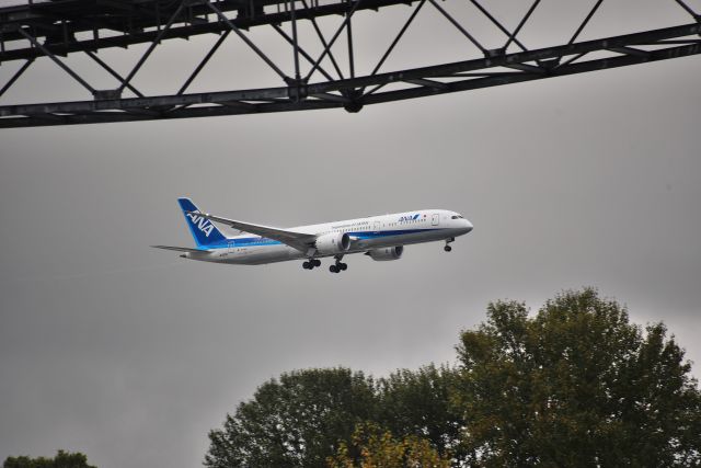 Boeing 787-9 Dreamliner (JA932A) - 11-02-22