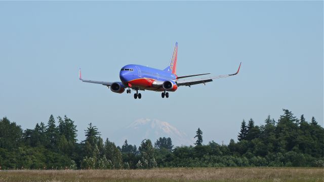 BOEING 737-300 (N606SW) - SWA8700 from KDAL on final approach to runway 34L on 8/1/12 for maintenance at ATS. Mt. Rainier can be seen in the distance. The aircraft is a B737-3H4, LN:2740, c/n 27926.