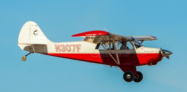 CHRISTEN Husky (N307F) - N307F Aviat A-1B Husky S/N 2379 - North Las Vegas Airport (IATA: VGT, ICAO: KVGT,)br /Photo: TDelCorobr /February 15, 2020