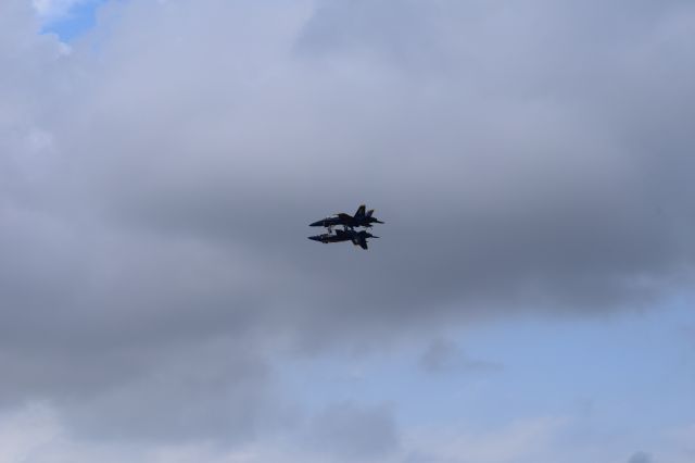 McDonnell Douglas FA-18 Hornet — - the Blues as seen just before #5's birdstrike. Lt Tyler Davies landed safely. 21APR18 Fortus Manuver