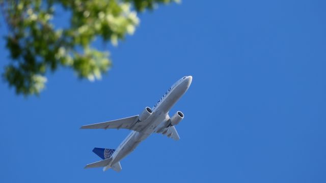 Boeing 777-200 (N74007)