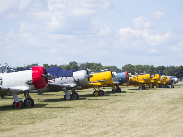 North American T-6 Texan (N3238G) - Oshkosh 2013!