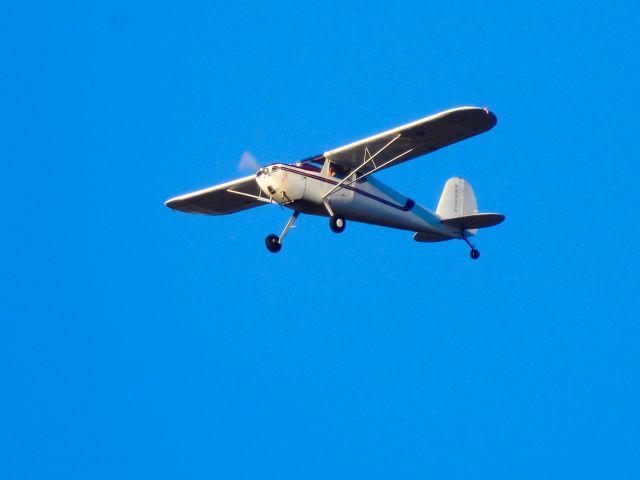 Cessna 140 (N2257N) - 12/21/21