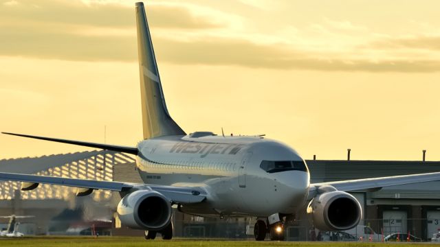 BOEING 737-600 (C-GWJU)