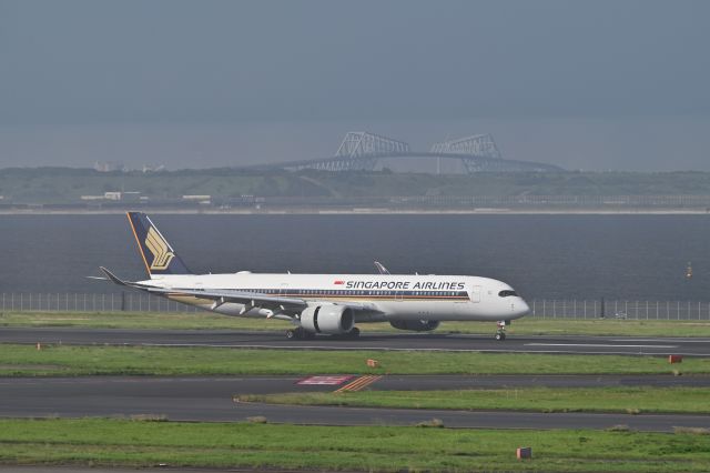 Airbus A350-900 (9V-SHF) - 07.Jul.2024br /SINGAPORE AIRLINES Airbus A350(9V-SHF)br /Randing at RWY16L(C)