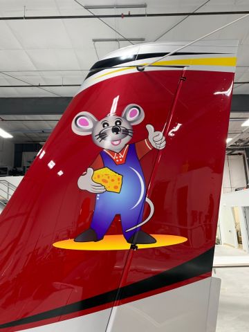 Cirrus SR-22 (N861TS)