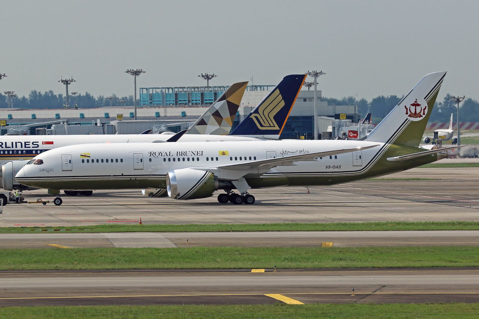 Boeing 787-8 (V8-OAS)
