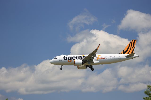 Airbus A320neo (B-50022) - June 18, 2023:TPE-HKD.