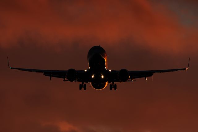 Boeing 737-800 (G-GDFR)