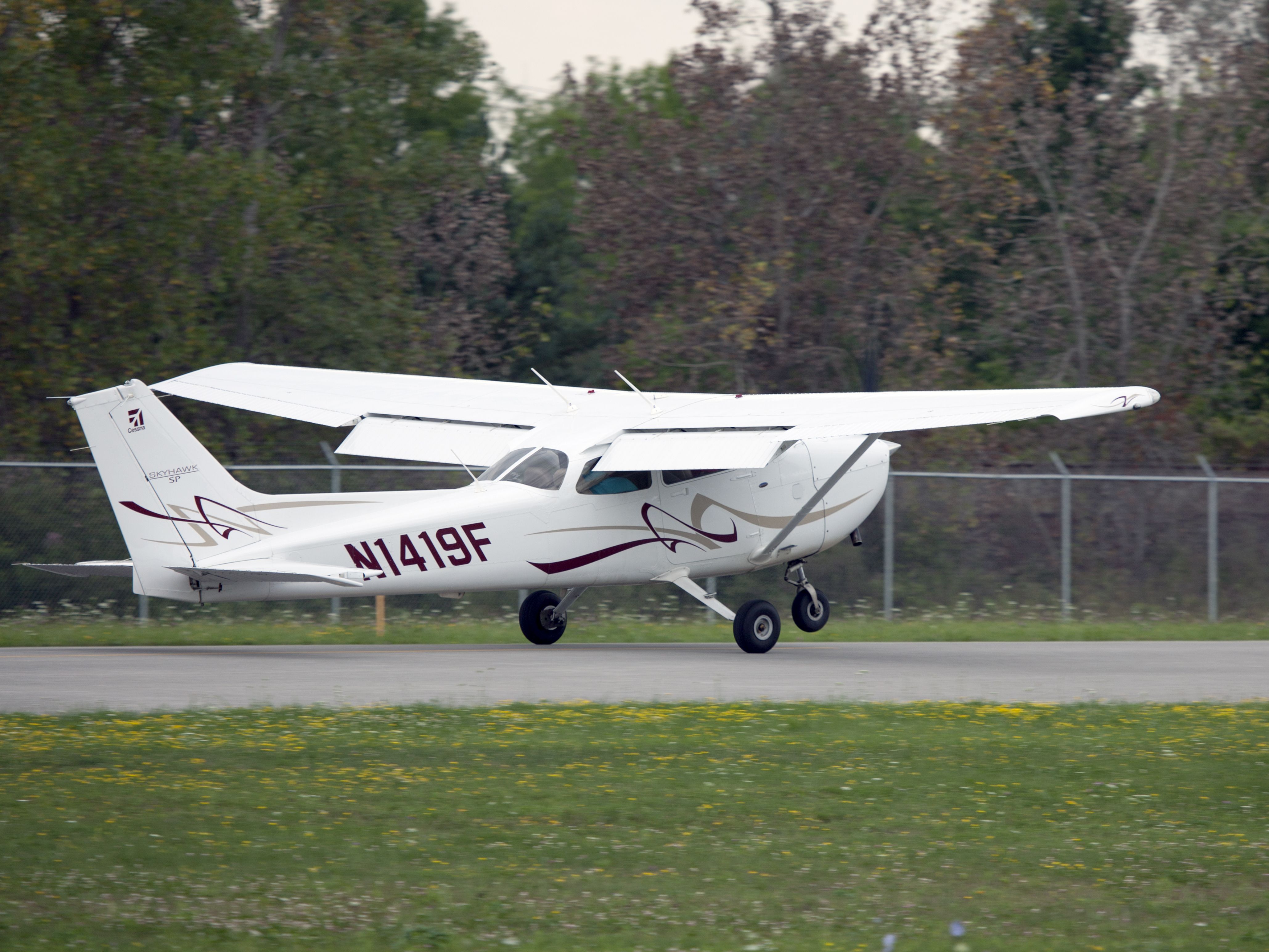 Cessna Skyhawk (N1419F)